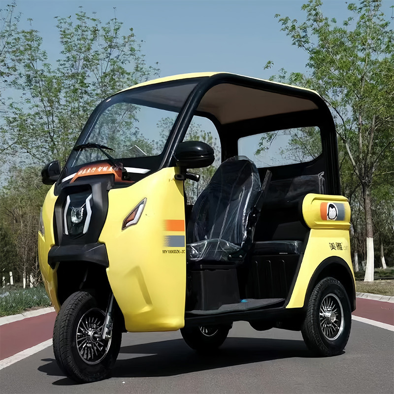 Hot Selling the Latest Electric Tricycle Luxury and Comfortable Environmentally Friendly Electric Tricycle