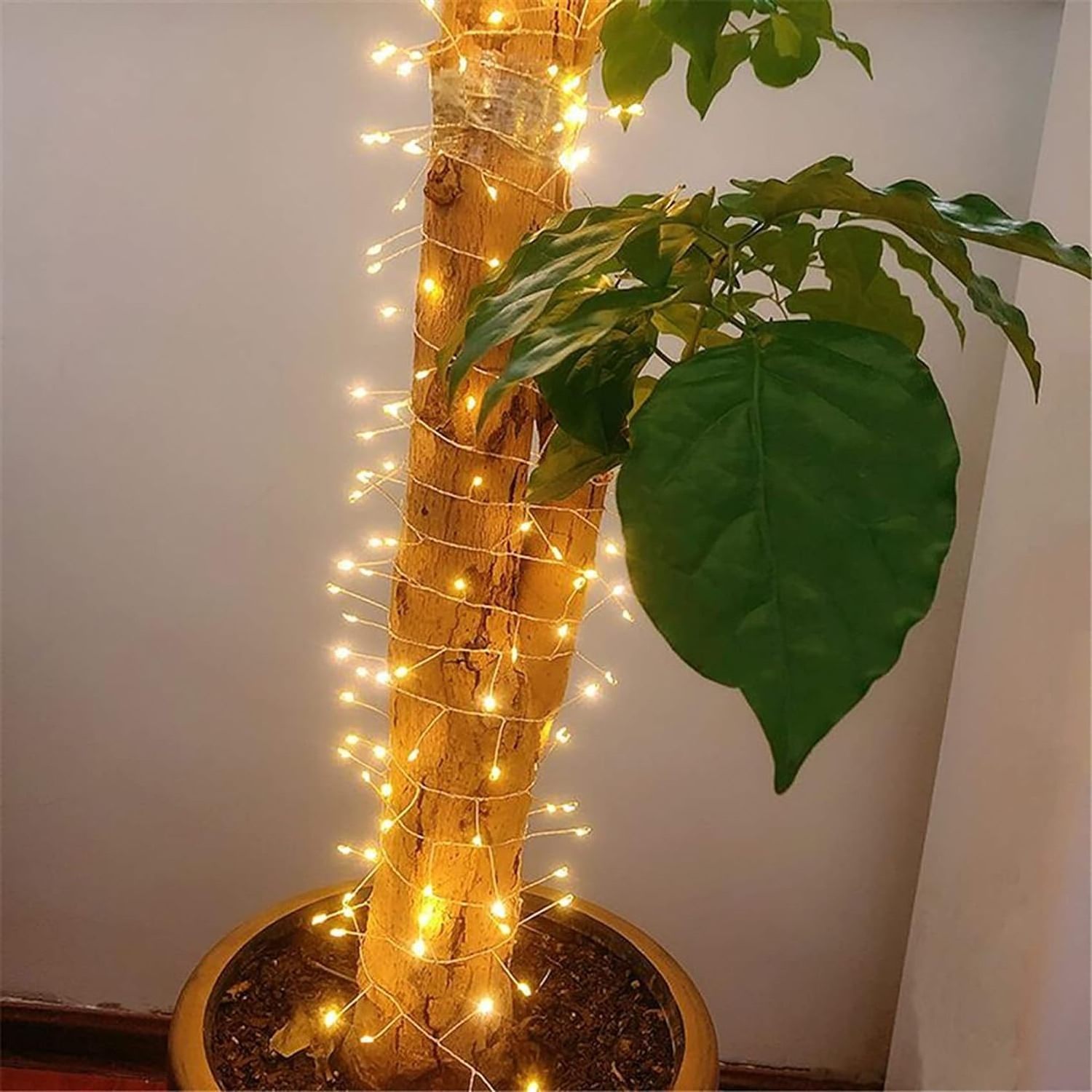 Indoor Holiday Decorative Led Warm White Green Line Christmas Tree Decoration Firecracker String Lights