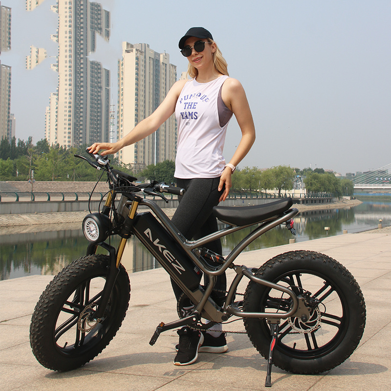 EU Warehouse 48V Electrique E Bike Fat Tire Importer Electric Bicycle Electric Bike Sidecar