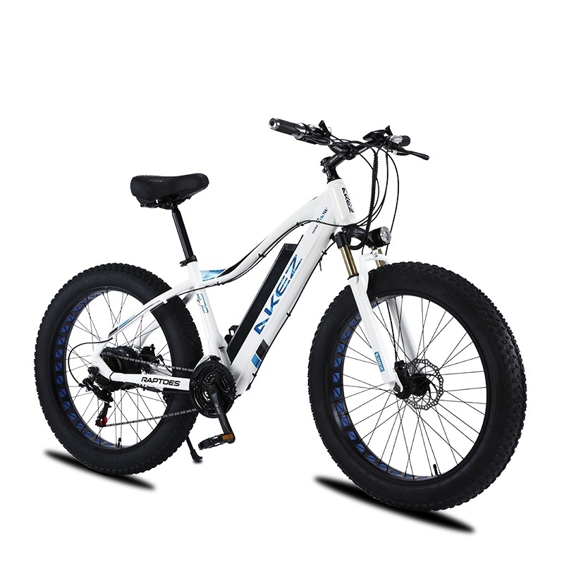 Two-wheeled Electric Scooter 26Inch Fat Tire 750w Snow Ebike