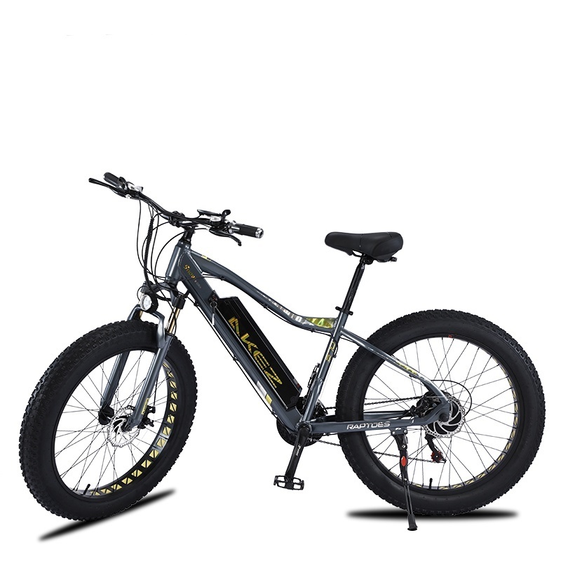 Two-wheeled Electric Scooter 26Inch Fat Tire 750w Snow Ebike