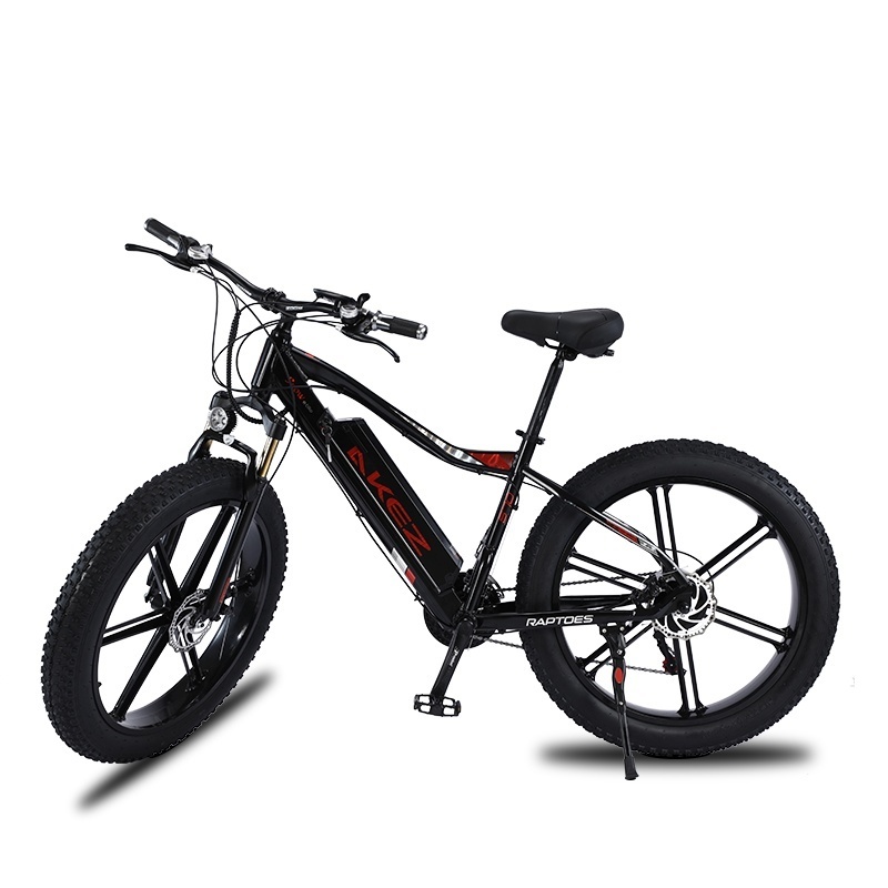 26-Inch Large Tire Mountain Cross-Country 750w Lithium Full Suspension Snow Ebike Carbon Steel