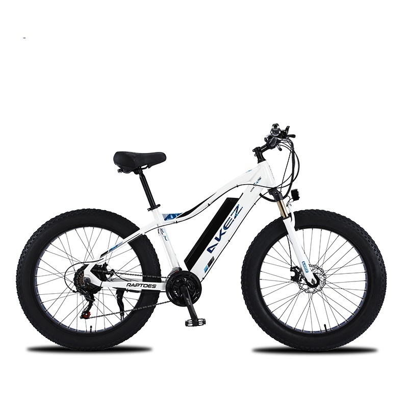 26Inch Fat Tire Electric Bike 750w Lithium Full Suspension Snow Ebike Electric Bicycle For Adults