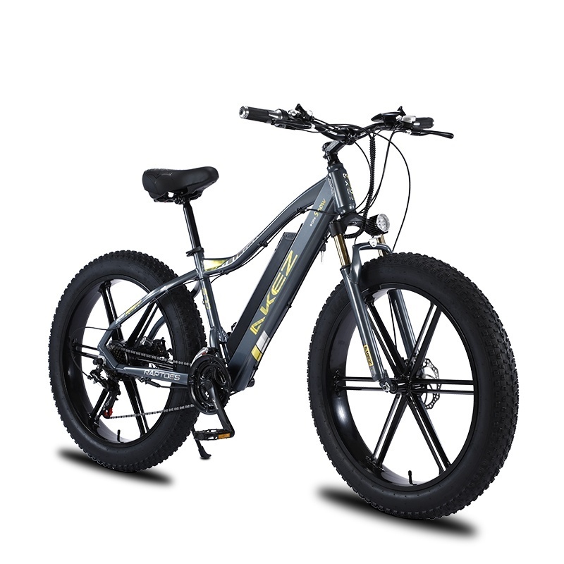 26-Inch Large Tire Mountain Cross-Country 750w Lithium Full Suspension Snow Ebike Carbon Steel