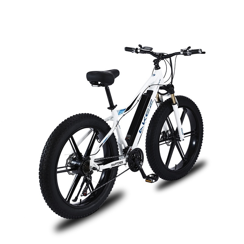 26-Inch Large Tire Mountain Cross-Country 750w Lithium Full Suspension Snow Ebike Carbon Steel