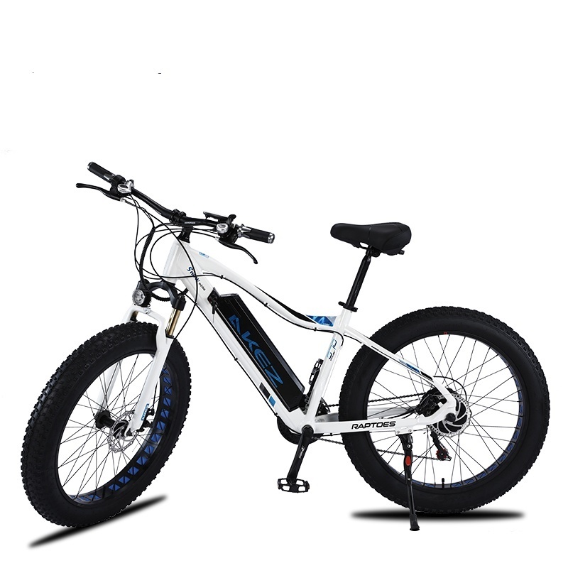 26Inch Fat Tire Electric Bike 750w Lithium Full Suspension Snow Ebike Carbon Steel