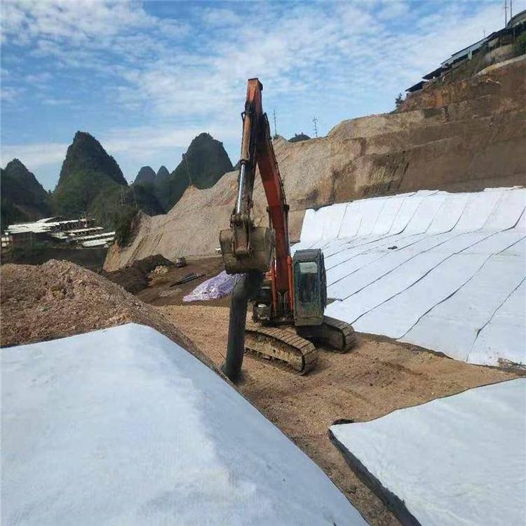 Geosynthetics Products High Quality Waterproof Bentonite Membrane Mat Geosynthetic Clay Liner Price