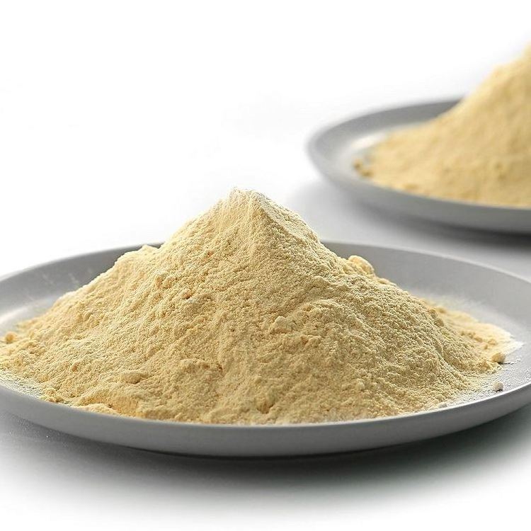 High Quality Low Sugar Instant Dry Yeast 500g For  bread or cake