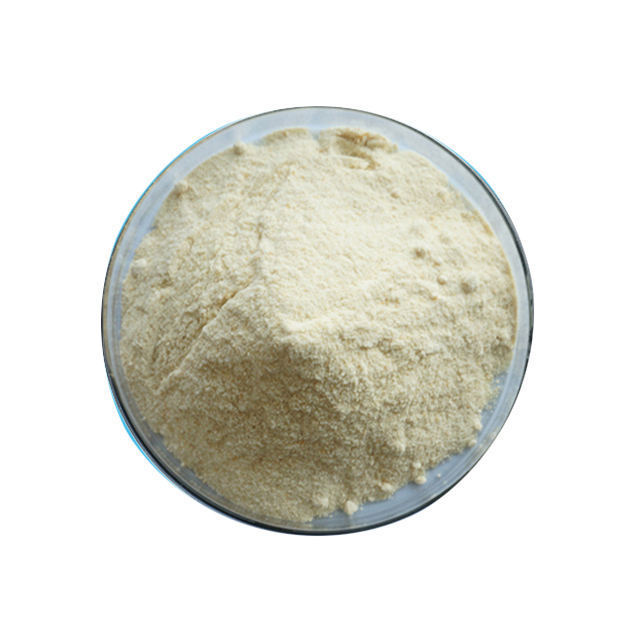 Food Grade Soya Lecithin Granules Non-GMO Soybean Extract Soy Lecithin Powder 95%