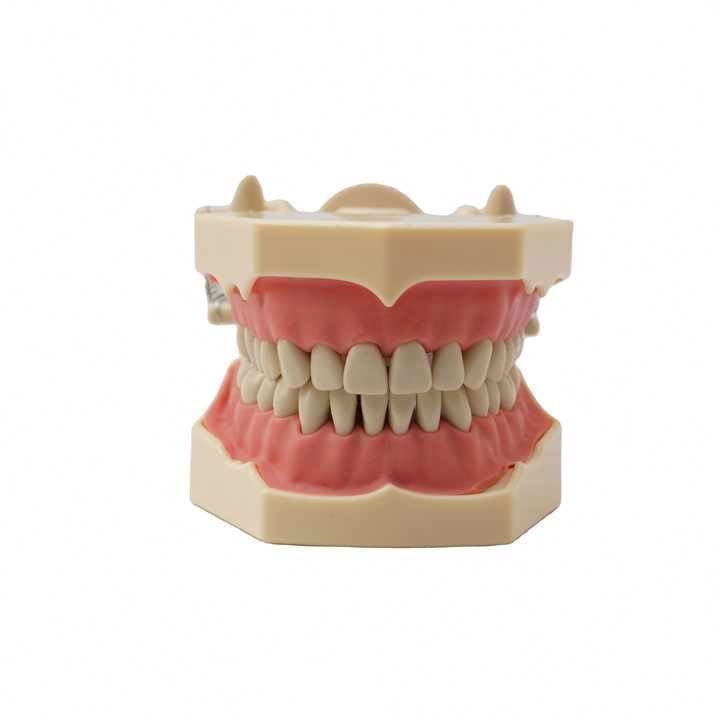 Hot Sale Upper and lower False teeth cover Perfect Smile Comfort Fit Flex Denture Paste braces for Double