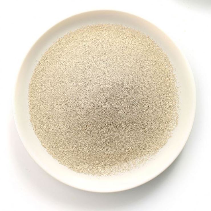 AIC Low And High Sugar Instant Dry Yeast 500G PriceFor Bread Baking