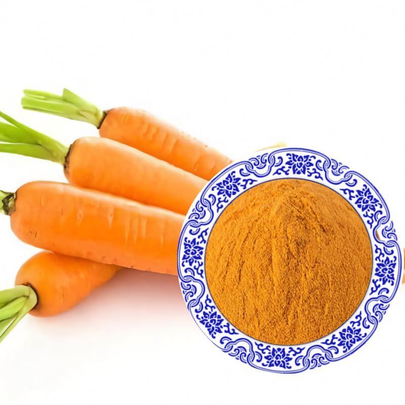 Wellgreen Supply 100% Natural Beta Carotene 1% Food Color Beta-Carotene Powder