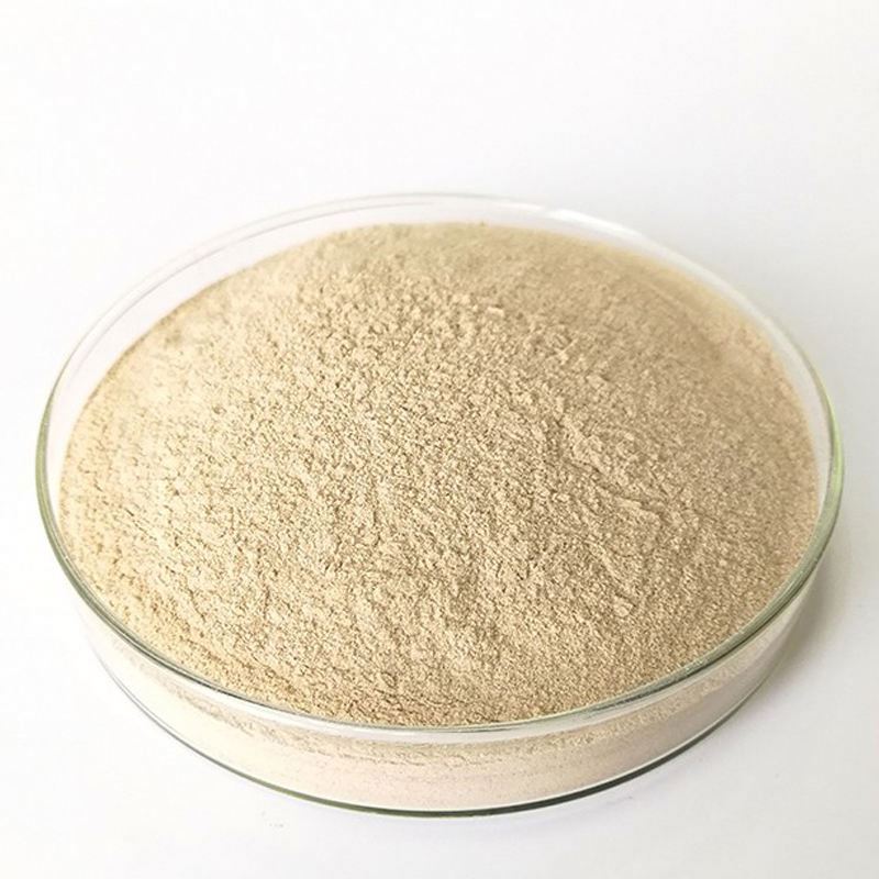 High Quality Low Sugar Instant Dry Yeast 500g For  bread or cake