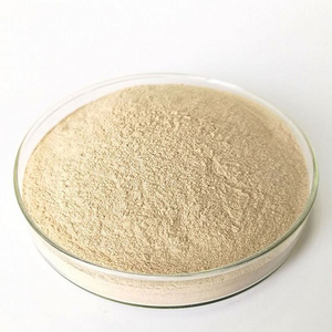 High Quality Low Sugar Instant Dry Yeast 500g For  bread or cake