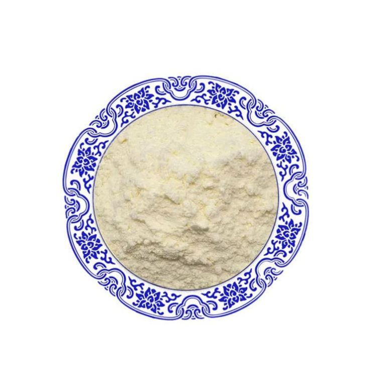 Food Grade Soya Lecithin Granules Non-GMO Soybean Extract Soy Lecithin Powder 95%