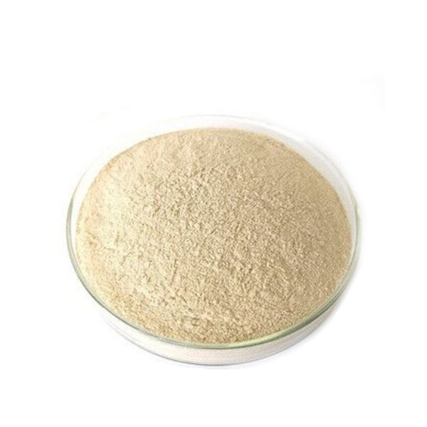 AIC hot sale active 500g halal standard yeast powder Instant yeast bakers good instant yeast price for bread