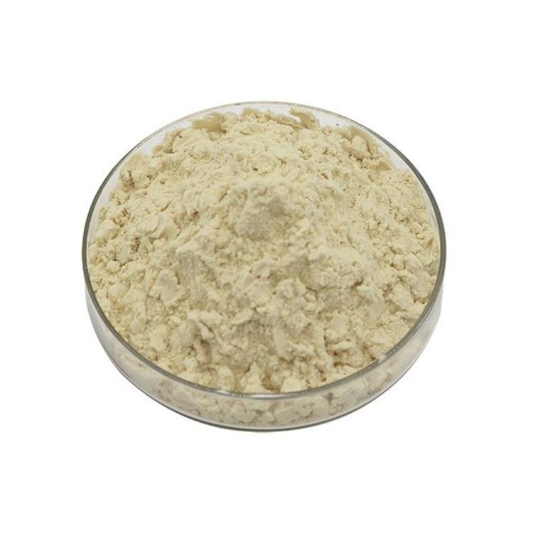 NON-GMO Additives Best Price Isolated Powder Isolates Food Grade Halal Instant Soy Protein Isolate