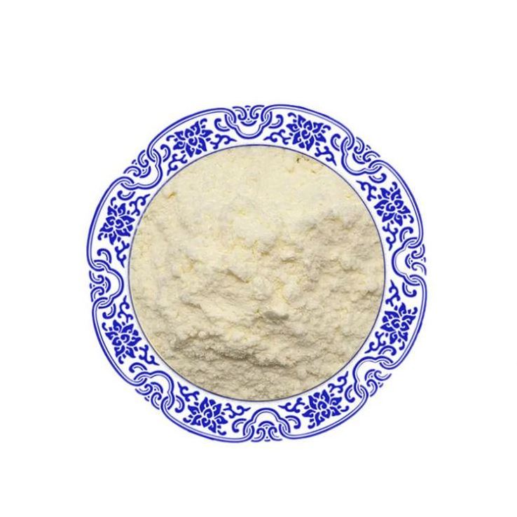 food grade soybean lecithin soya lecithin powder 8002-43-5 soy lecithin powder