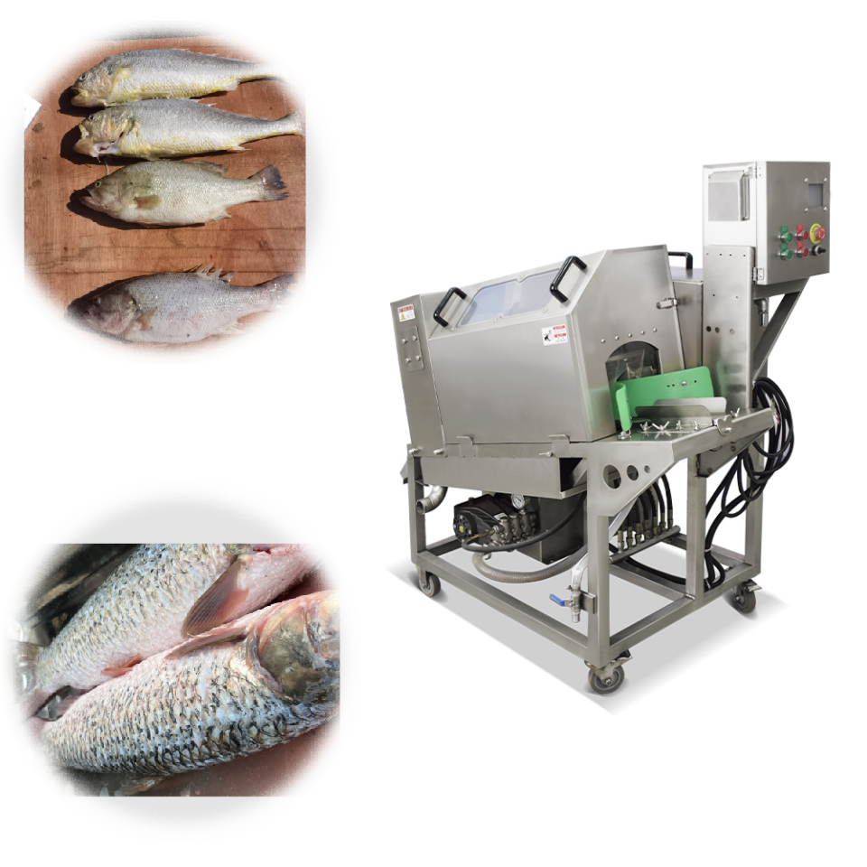 Fishes scalers removable Fish Scale Removal Machine fish scaling machine scale remover