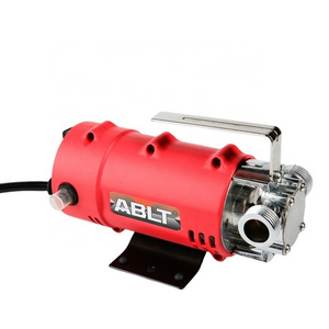 12V 24V Diesel Transfer Pump 160W Electric Oil Diesel Transfer Pump