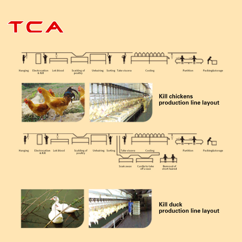 AICN high quality automatic poultry broiler  chicken  slaughtering system production line equipment