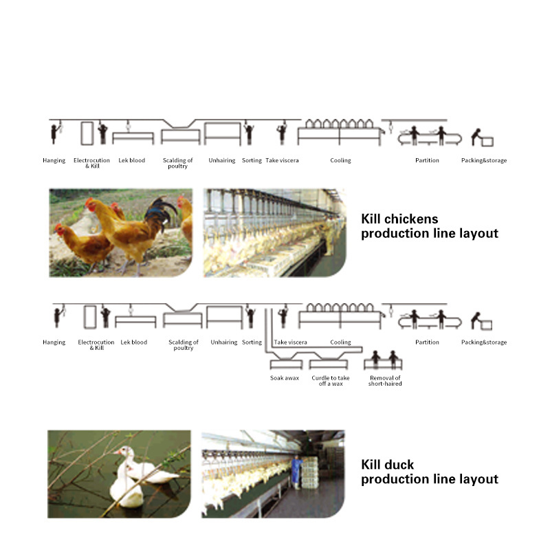 AICN high quality automatic duck chicken slaughter houses cone stainless steel hanger turkey machine line