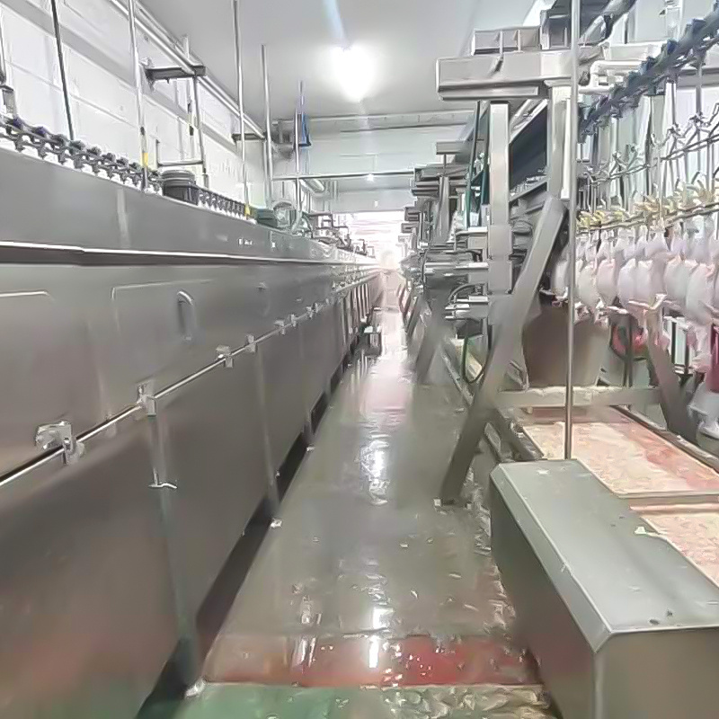 AICN high quality automatic poultry broiler  chicken  slaughtering system production line equipment