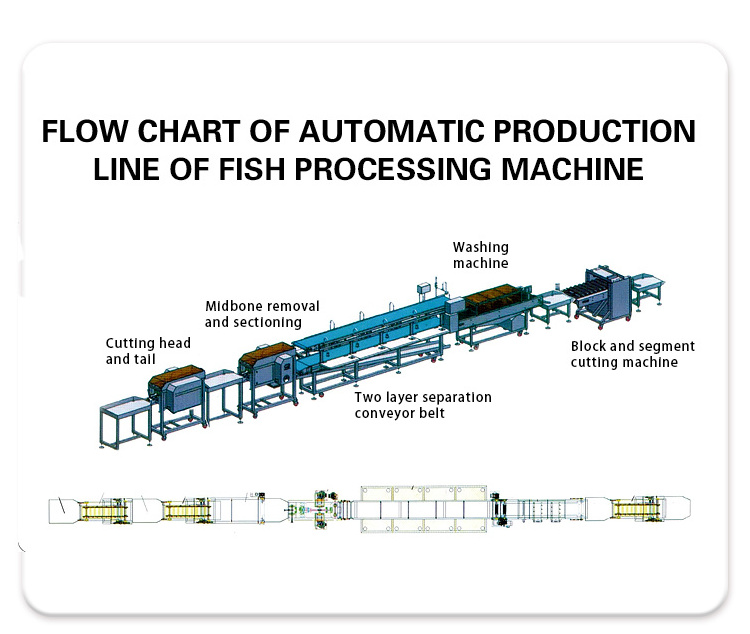 AICN fully automatic frozen red snapper catfish fish slicer angle cutting machine processing line