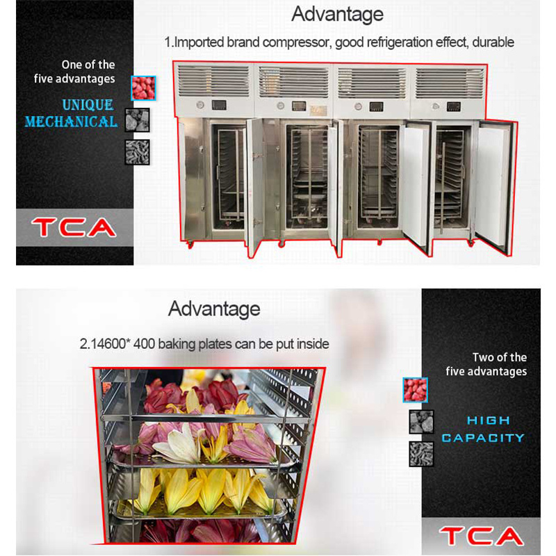 AICN blast liquid nitrogen shock bread quick freezing broccoli freezer vertical