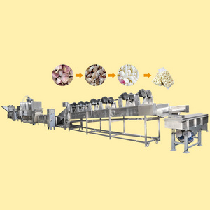 AICNPACK automatic intelligent electric garlic peeling machine production line trade