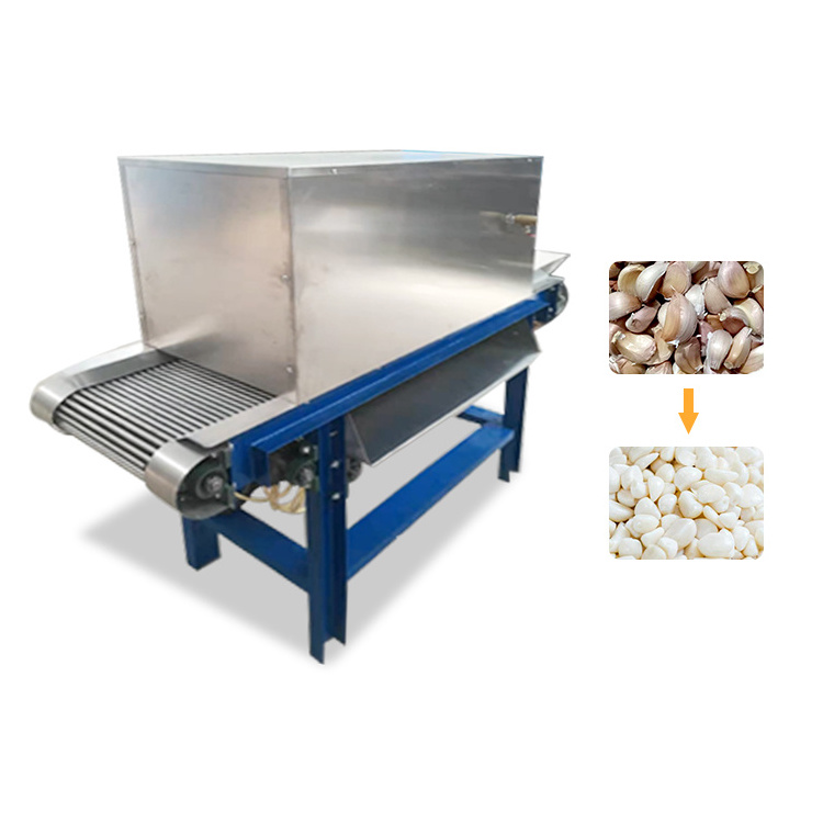 AICNPACK industrial best quality garlic onion splitting peeler small machine processing line