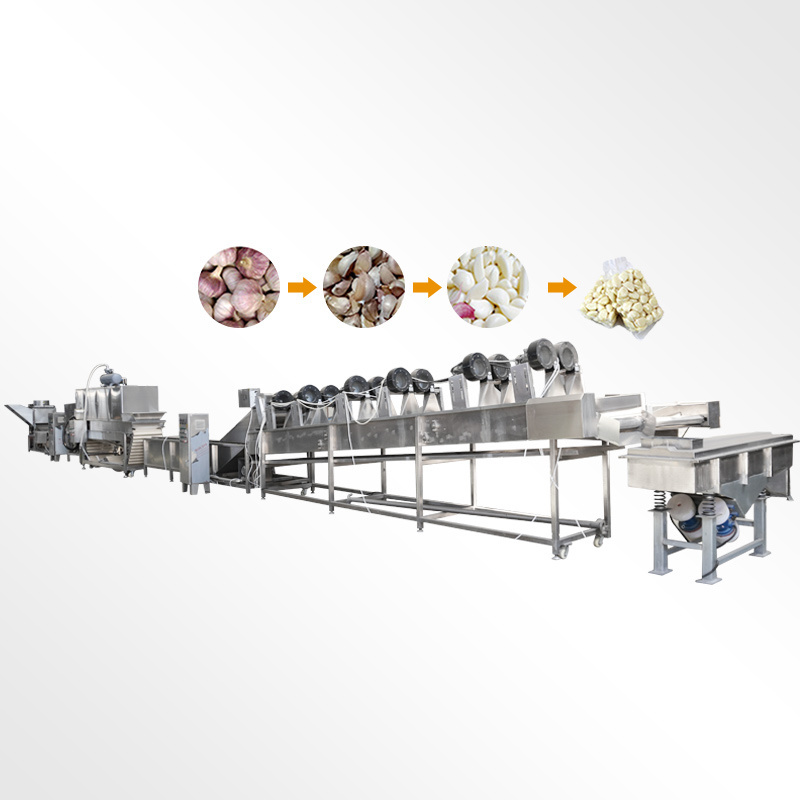 AICNPACK industrial best quality garlic onion splitting peeler small machine processing line