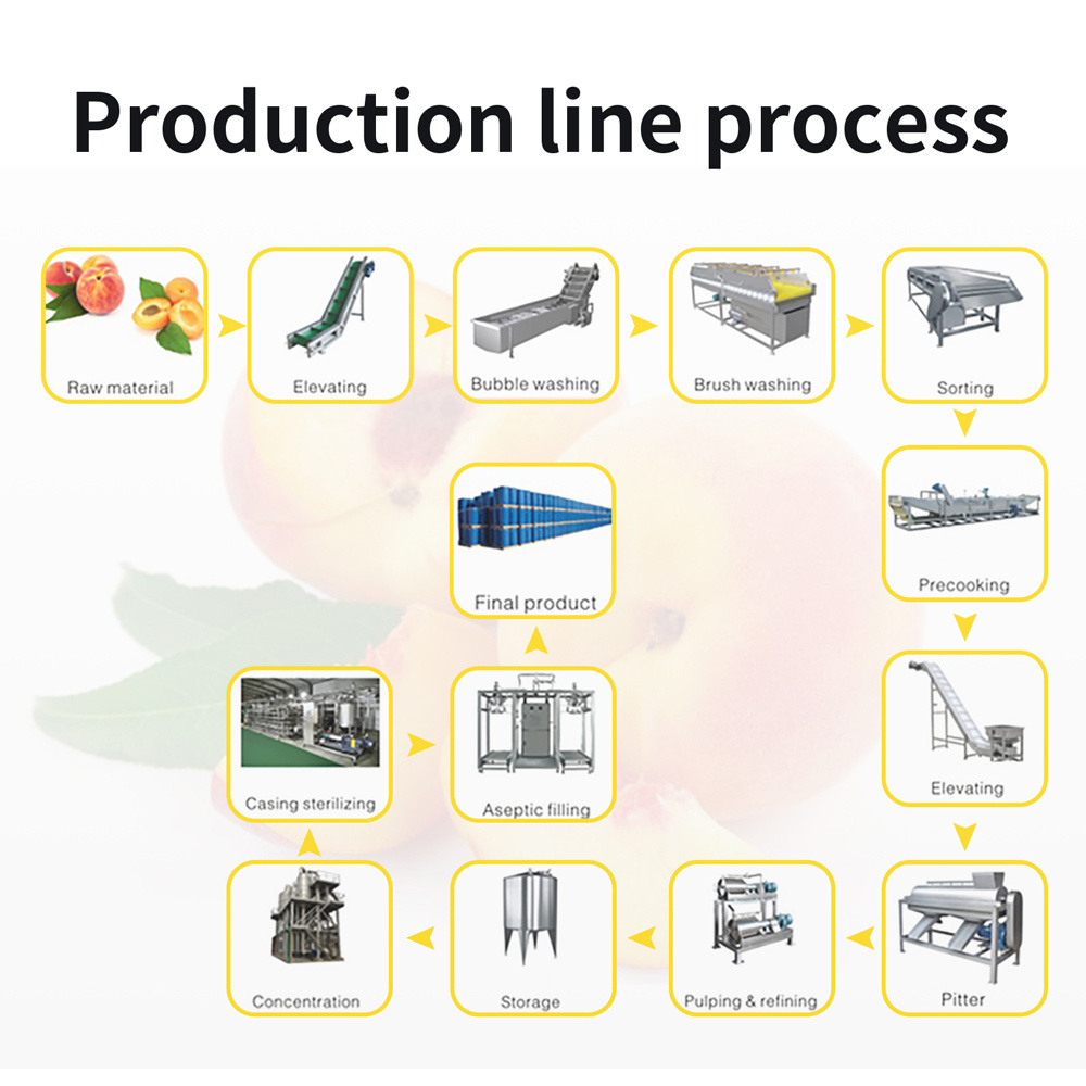 AICNPACK fully automatic fruit orange pomegranate sugar cane juice making machine production line