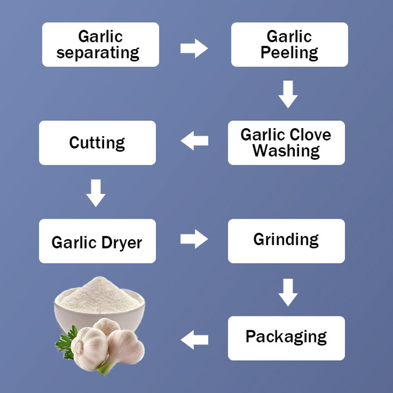 AICNPACK drying garlic onion powder machinery garlic processing making machine