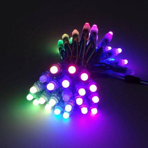 Digital LED Pixel Light 12mm WS2811 IC Full Color Pixel LED Module Light DC 5V input IP68 RGB waterproof