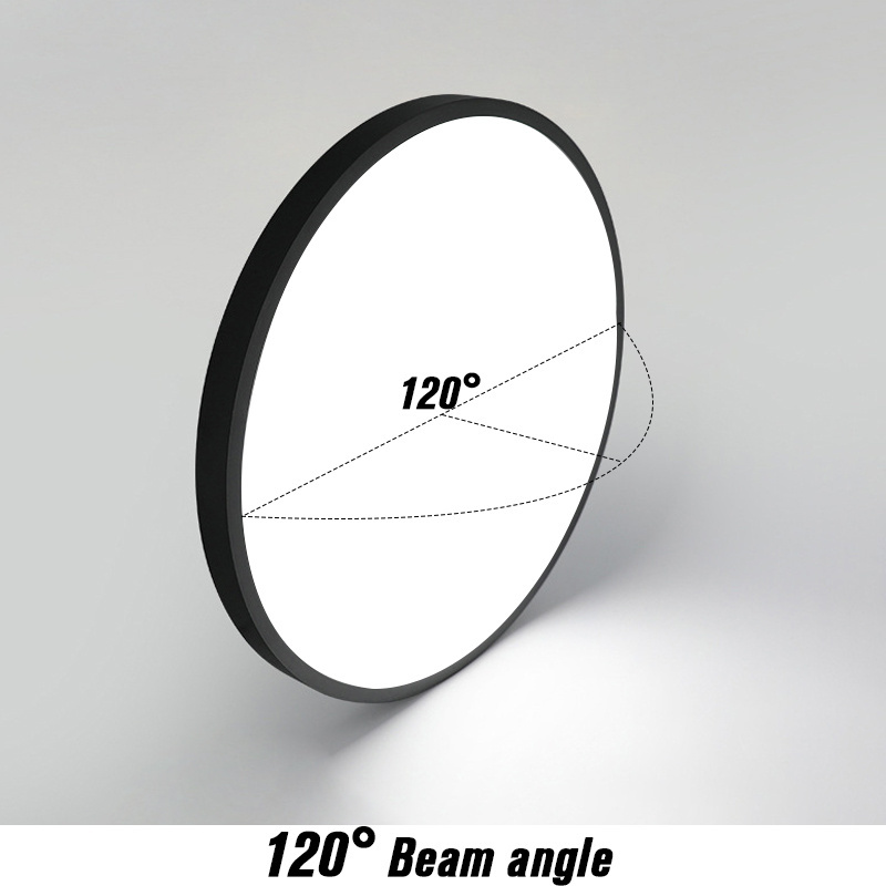 Minimalist Round White Black 24W 28W 38W 48W ABS 85V-265V Ce Modern Ceiling Light For Home Laundry Stairwell Basement