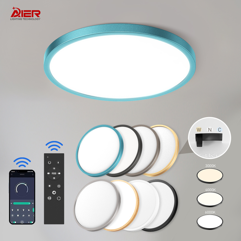 Indoor Lighting Modern Ultra Thin Dial Round Led Ceiling Lights Mounted Bedroom Living Room Led Ceiling Lamp