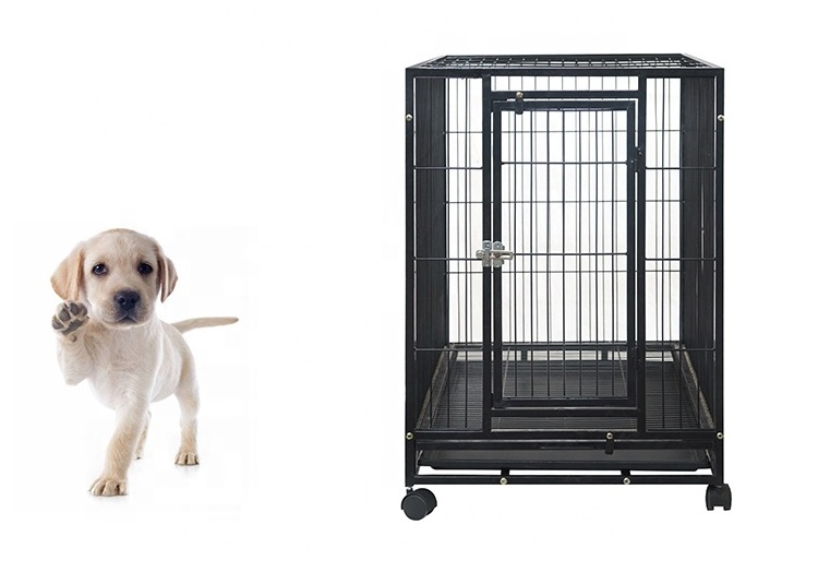 Stainless Steel Kennel Outdoor For Large Dogs Metal big Pet Dog Cage