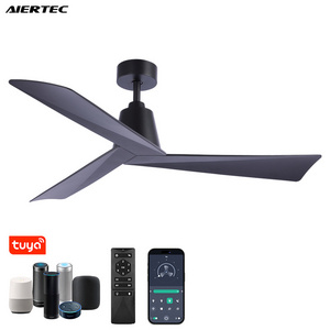 Modern 52 Inch 3 ABS Blades Ceiling Fans With All Copper Motor Remote control 1-6 Gears Adjustable Wind Speed