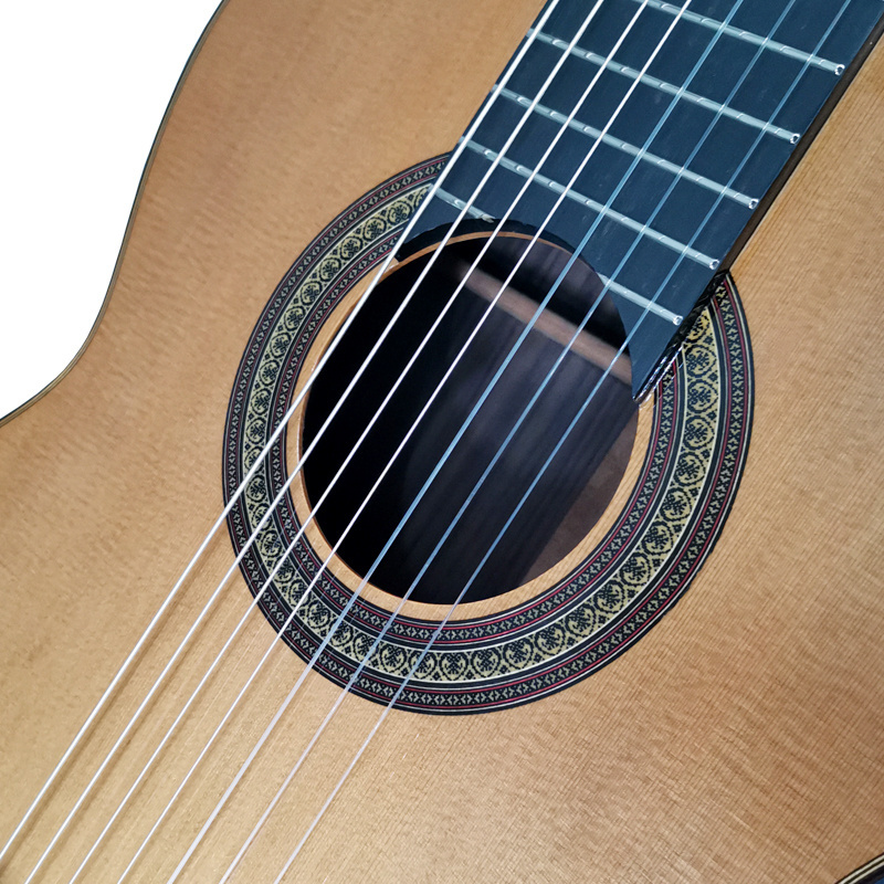 Professional grade Aiersi brand handmade All solid Gloss  Finish 7-strings classical guitar with Cedar top Rosewood back&side