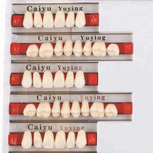 Aifan New Products Yinying 3pairs 84pcs Synthetic Acrylic Resin Teeth