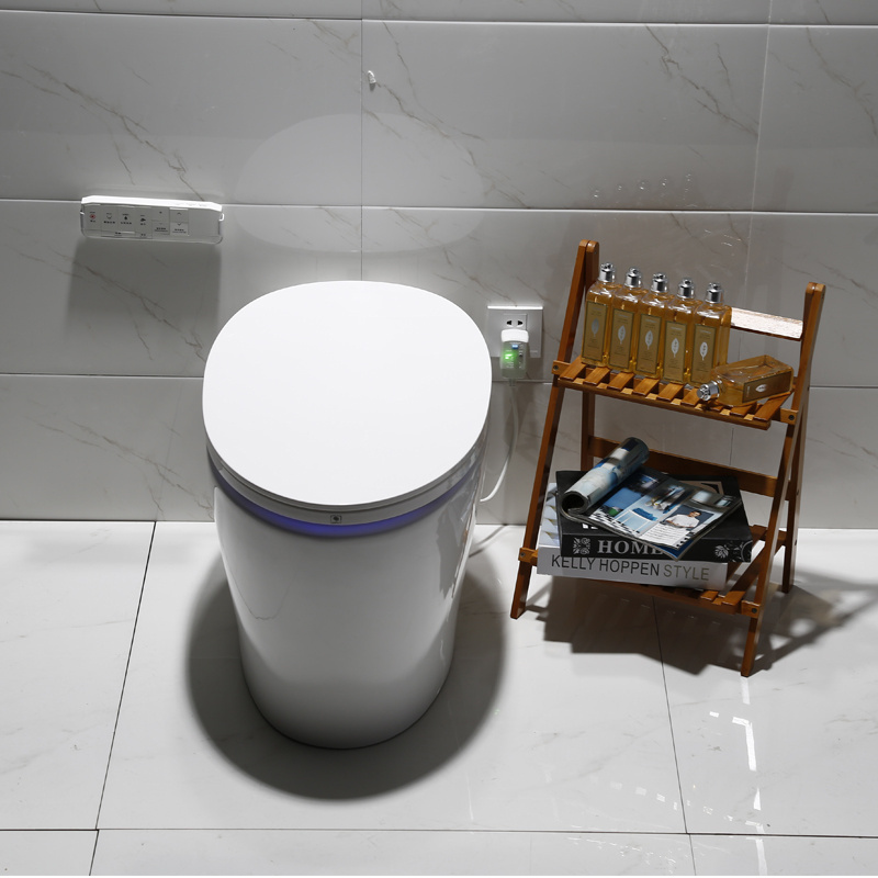 Modern Ceramic  White Seat Style Pattern Bathroom Wc Electronic Bidet Toilet