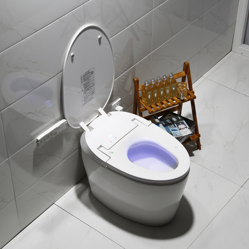 Modern Ceramic  White Seat Style Pattern Bathroom Wc Electronic Bidet Toilet