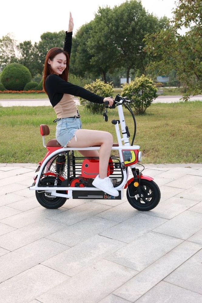 Electric Bike 2 Wheel Pedal Assist Bike Sidecar To Carry Pets Electric Fat Tire Tricycle