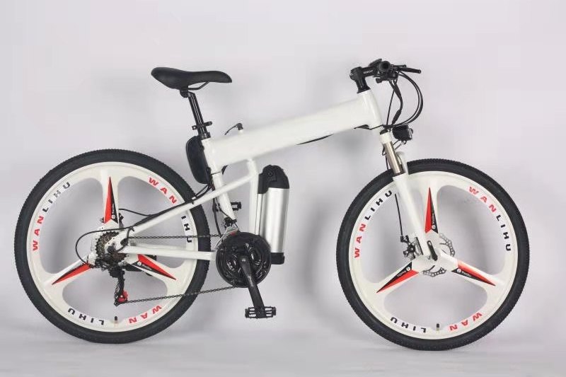 1000w fat tire electric bicycle fat wheel bike 48v 500w 60v 750w 1000w mountain bike outdoor for sale