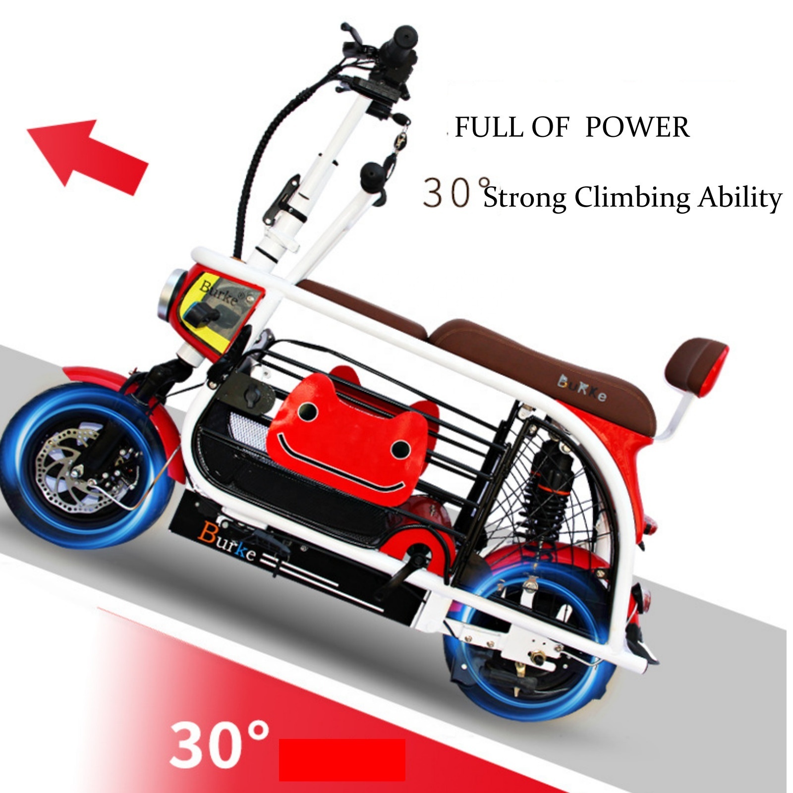 Electric Bike 2 Wheel Pedal Assist Bike Sidecar To Carry Pets Electric Fat Tire Tricycle