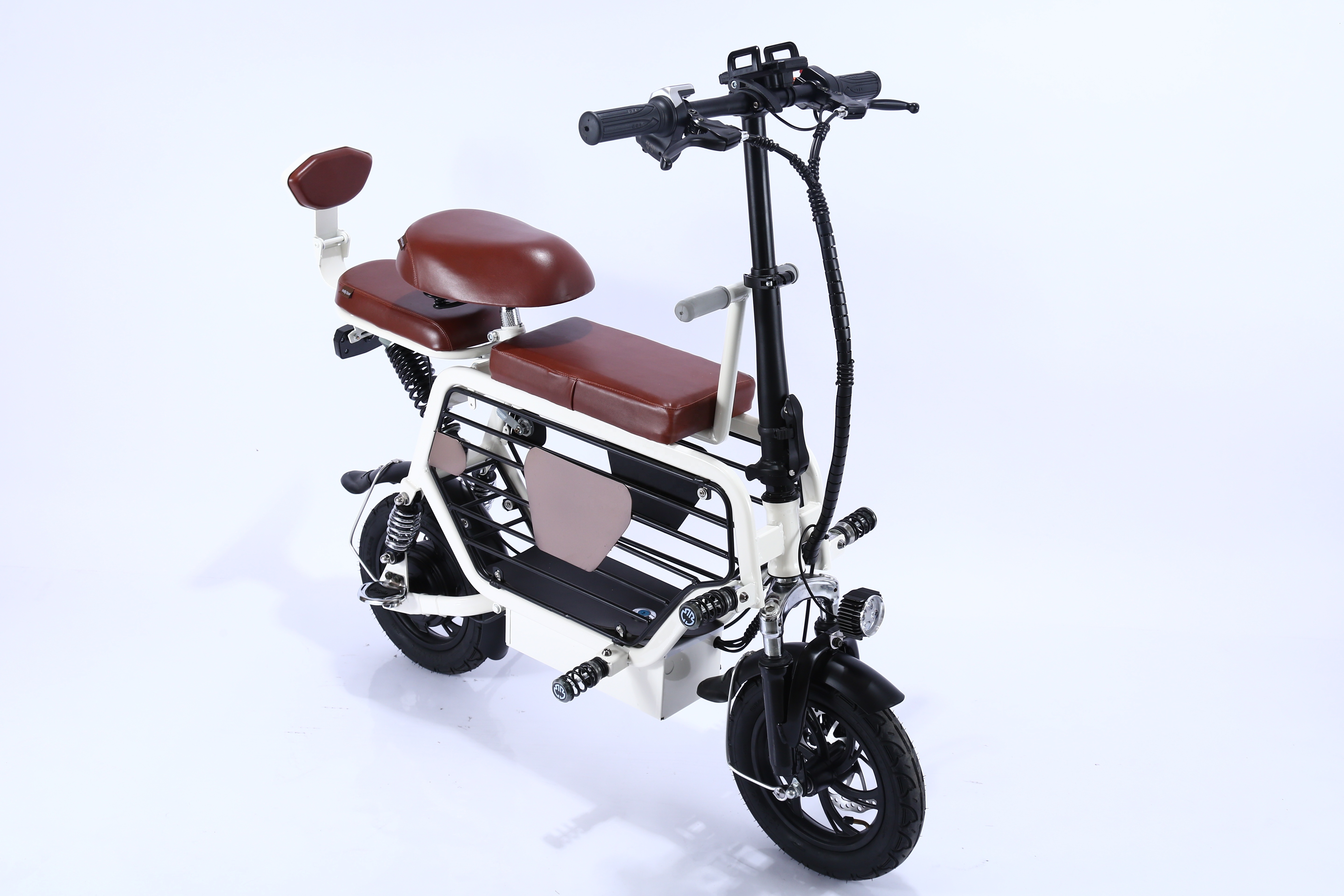 Aigle Pet Outing Electric Scooter 500w Motor Electrically Bicycle Electric Bike With Dog Carrier