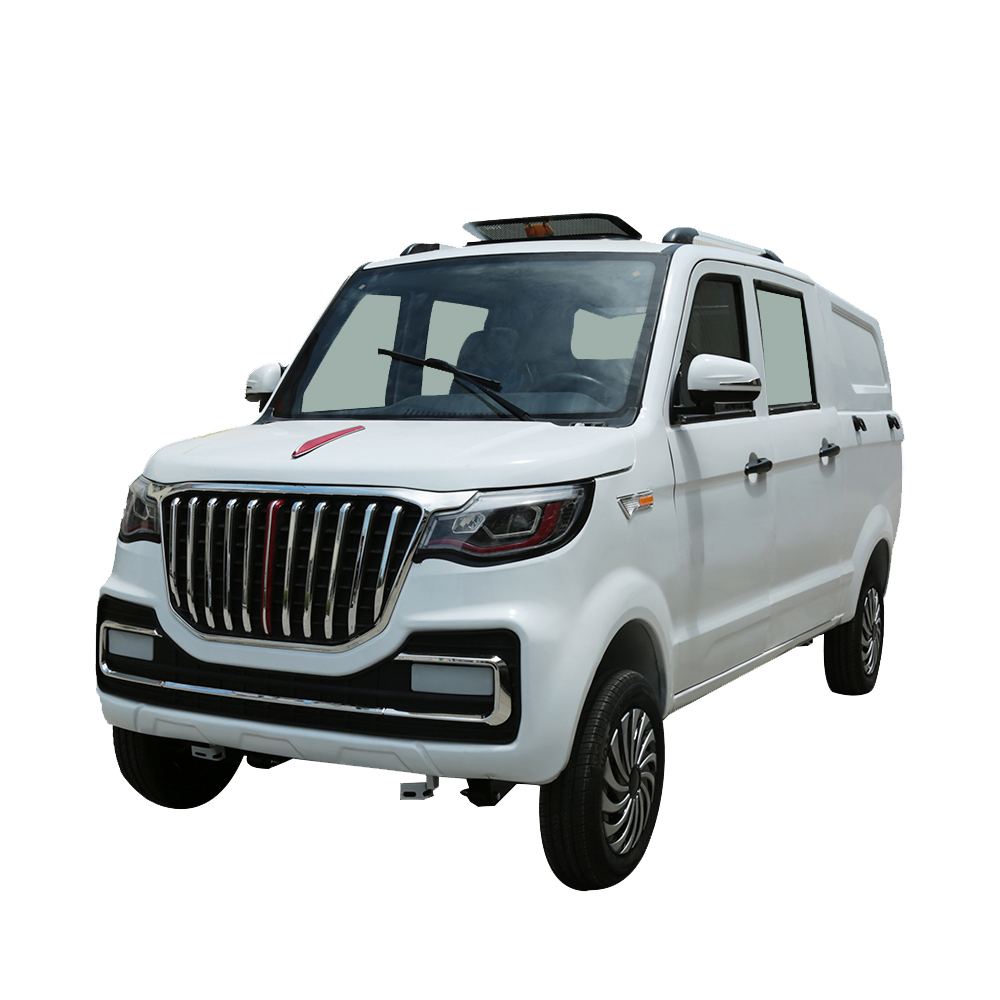 Cargo Pickup new energy 2022 new design Pick Up rear wheel drive motor From China Factory Mini Cargo Truck For Sale