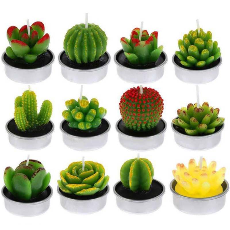 Novelty Decorative Succulent Cactus Plants Candles Kit Cute Smokeless Candles Perfect For Festival Wedding Props House Party