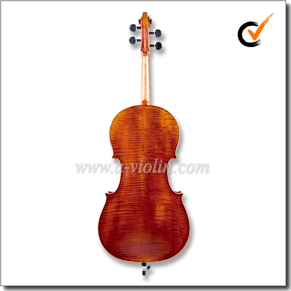 Antique Style Professional 4/4 Cello (CH800A)